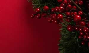 Christmas Dining at the Sir Stamford