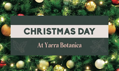 Christmas at Yarra Botanica